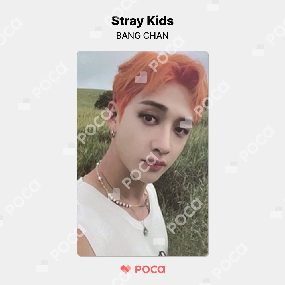 straykids NOEASY Soundwave ラキドロ バンチャン straykids バンチャン】スキズ NOEASY SOUNDWAVE ラキドロ 公式 トレカ