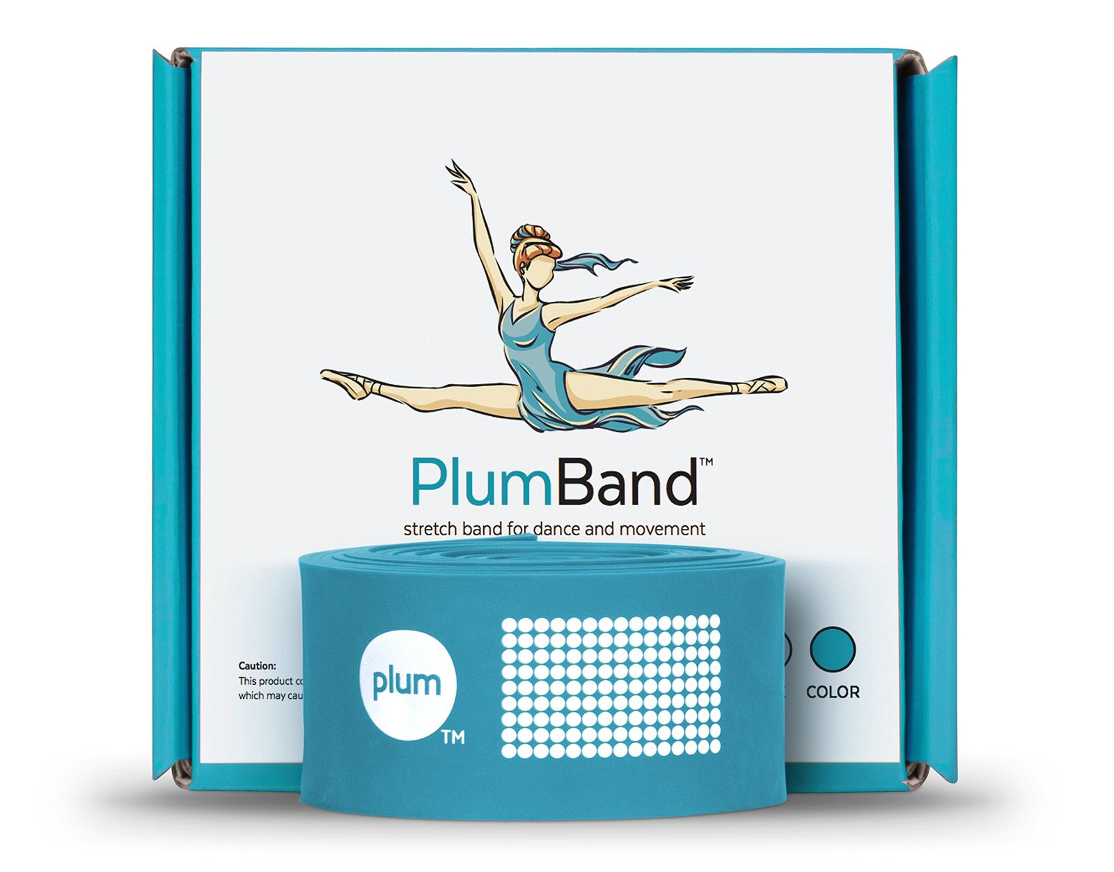 PlumBandのストレッチバンドのダンス バレエ用 - 子供＆大人用の色とサイズ - ストレッチで強靭性や柔軟性を強化 - インストラクション小冊子とトラベルバッグ付き Regular パープル [プラ