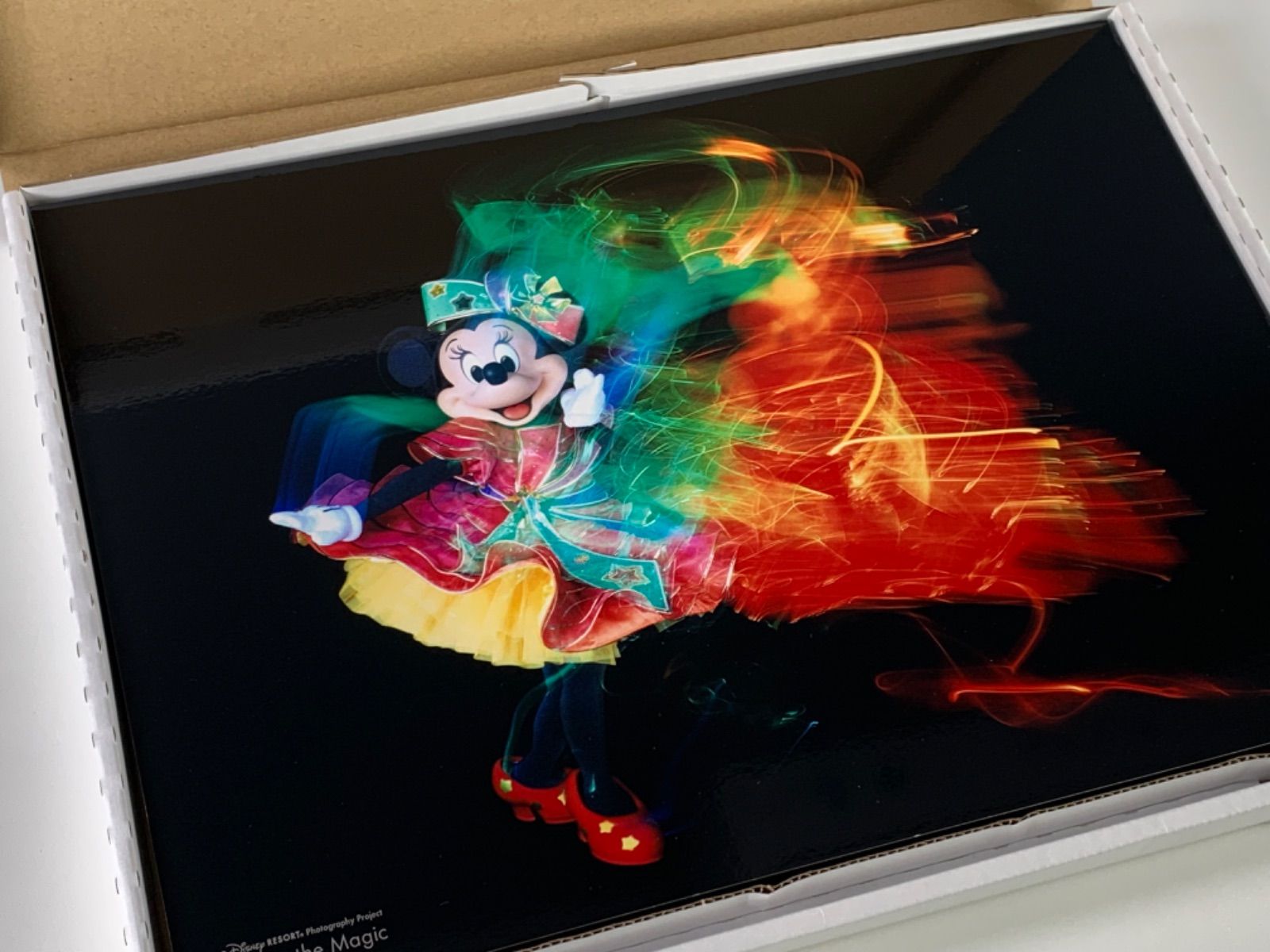 希少　レア　ディズニー　イマジニングザマジック　ミニー　アート　3D パネル 第1弾！東京ディズニーリゾート・フォトグラフィープロジェクト