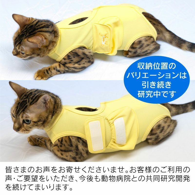 オファー 猫 胃 ろう 服