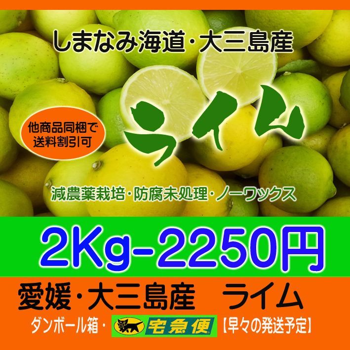 無農薬 花山椒110g 3月24日発送 - 野菜