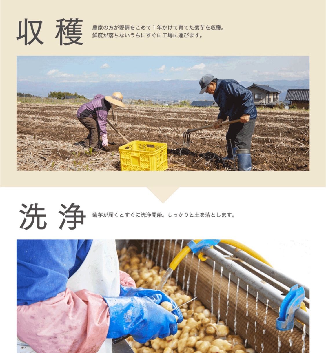 のサムネイル