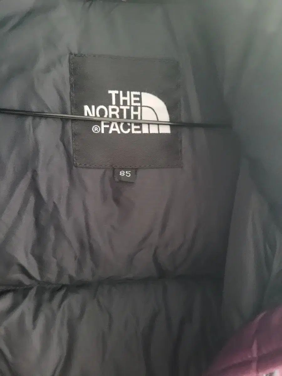 THE NORTH