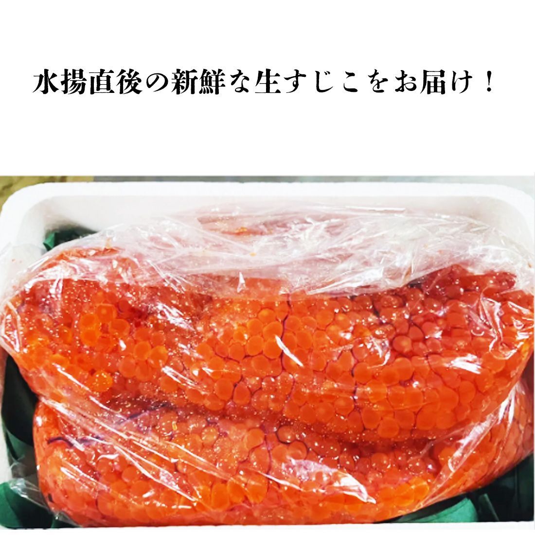 残り1kg！【北海道産】秋鮭 生 筋子 1.0kg 本日入荷！15：00まで受注で当日出荷！ 送料無料 2024年新物 生 筋子 生いくら 季節限定  入荷次第の早い者勝ち すじこ いくら はらこ いくら イクラ 筋子 - メルカリ