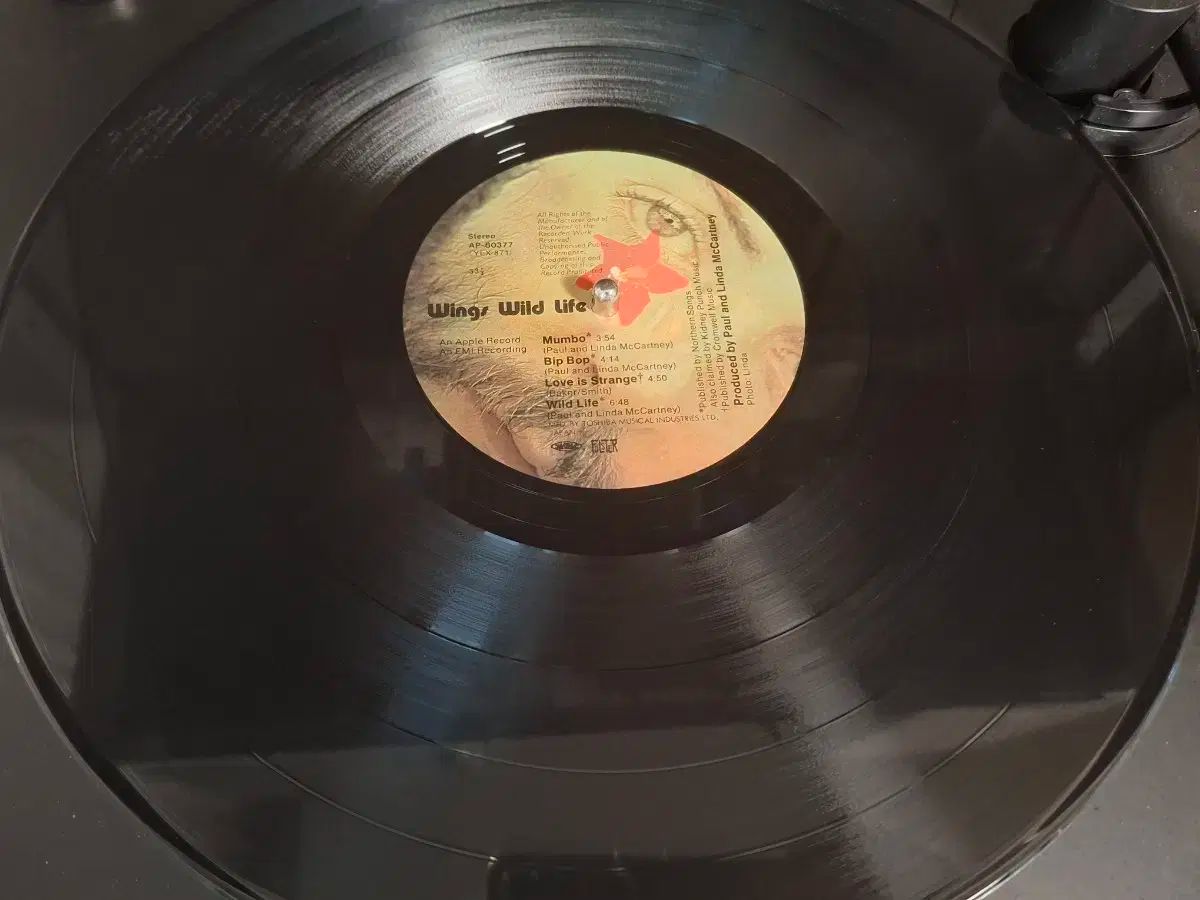 ポールマッカートニー wings 限定カラーレコード パンフレット ポール