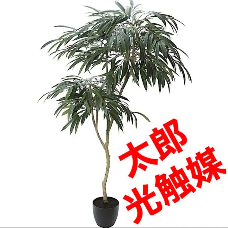 光触媒 人工観葉植物 ウォールグリーン フェイクグリーン ショウナン