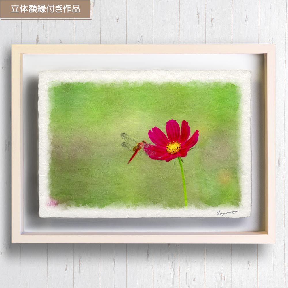 和紙の絵写真 「赤とんぼと緑の中のコスモス」 立体額縁付き 31x23cm