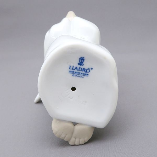 ダブルだし猫のごはん チキン 800g × 9袋 ダブルだし猫のごはん チキン 800g × 9 ダブルだし猫のごはん