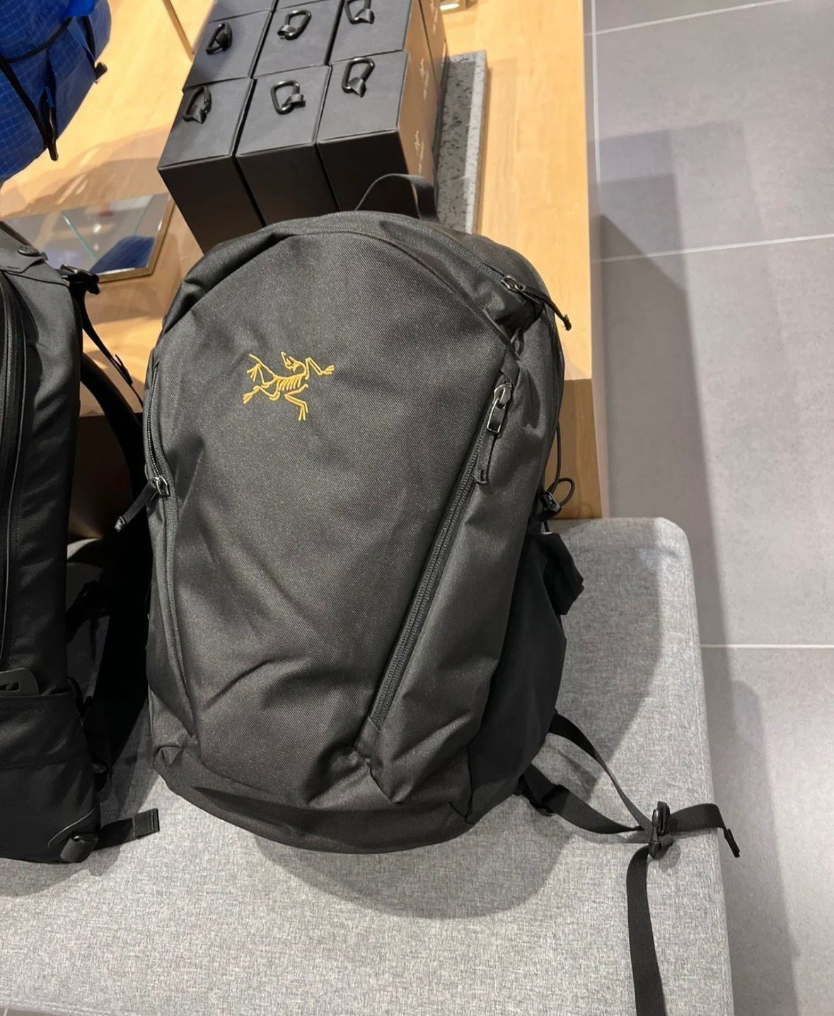 【春夏新品登場】アークテリクス リュック　マンティス