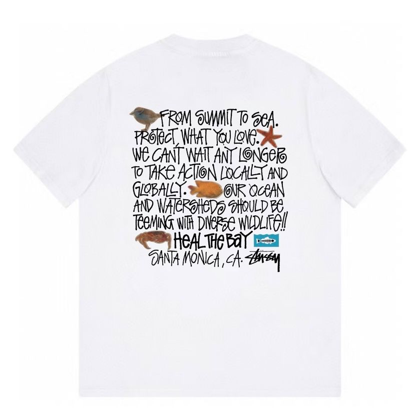 Stussy x Heal The Bay  Tシャツ  ステューシー  白