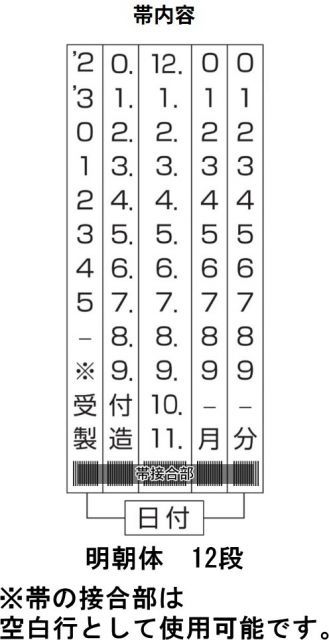 リピスター RS-DM