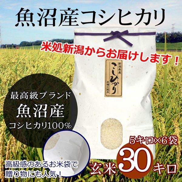 農家直送 令和5年産 コシヒカリ 玄米 5kg こしひかり 新米 5キロ