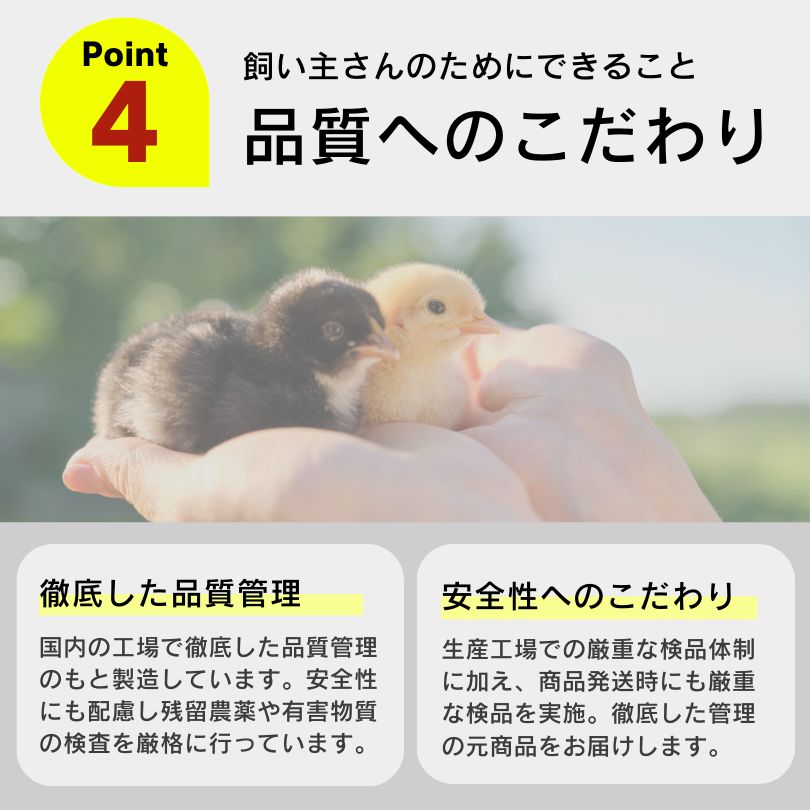 養鶏