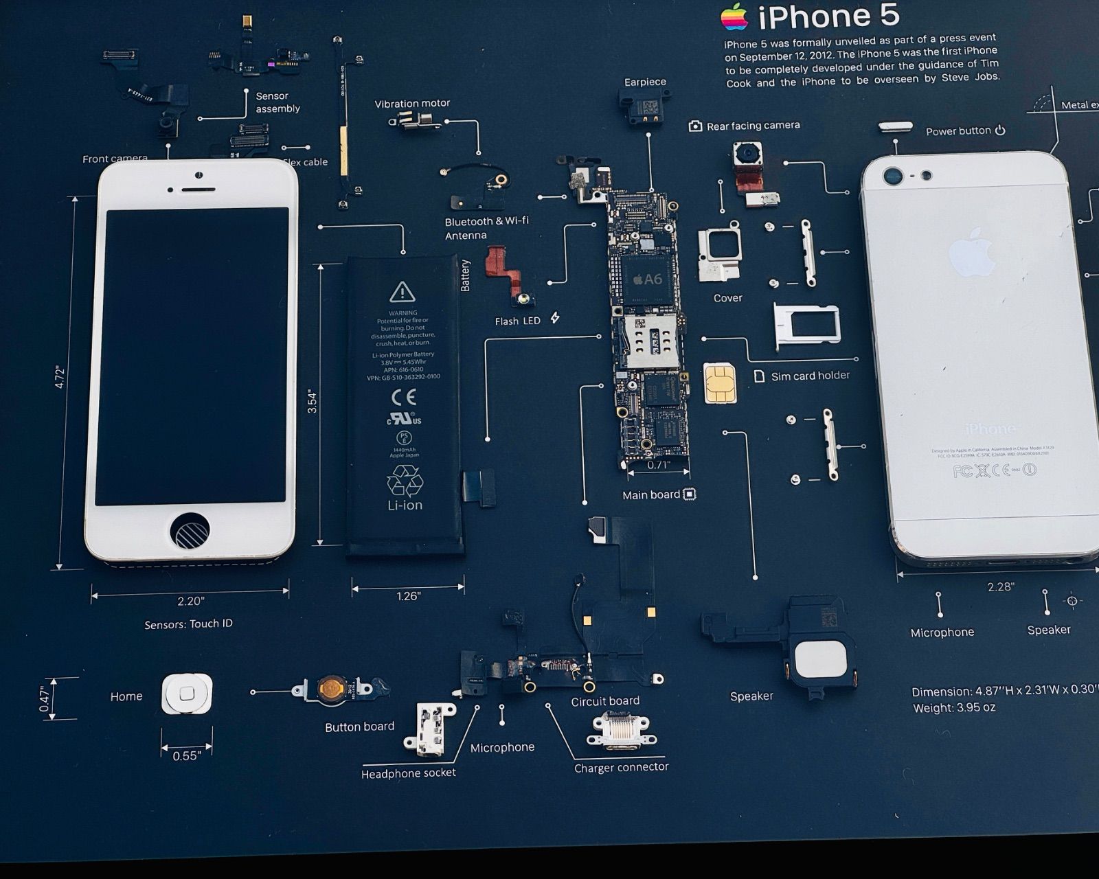 iPhone 5 White 標本アート ボックスフレーム - メルカリ