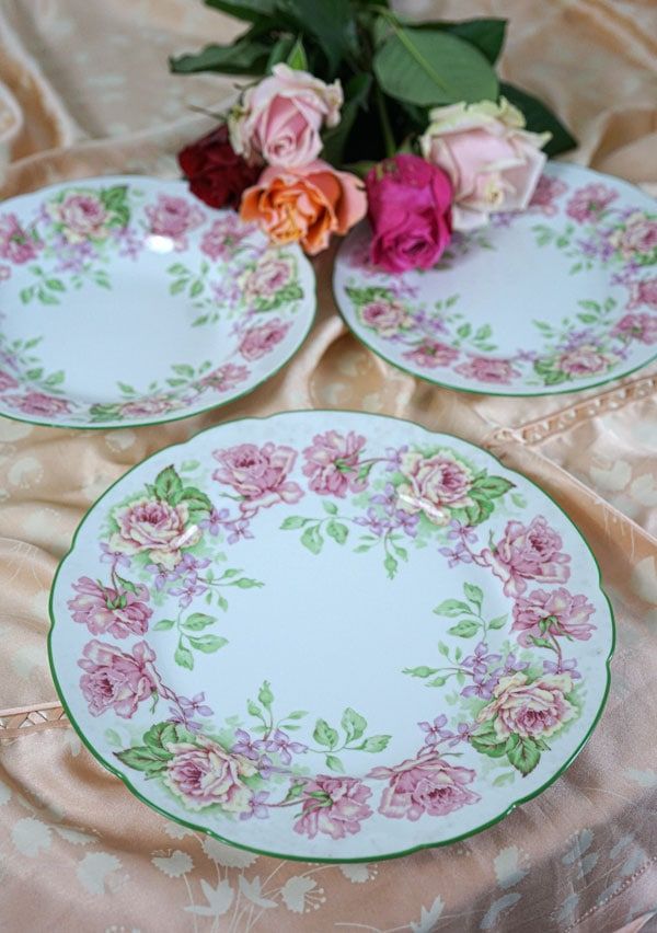 ベルナルド リモージュ VIGNY ヴィニー ディナープレート 26cm 6枚