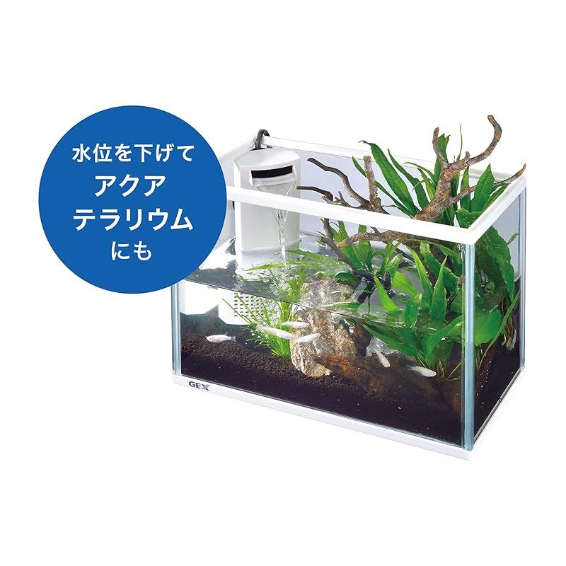 アルファ 500