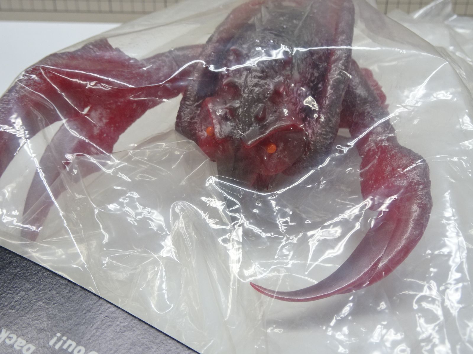 エビラ　CCP 9/29(月)11時より受注開始】【CCP JAPAN】ミドルサイズシリーズ