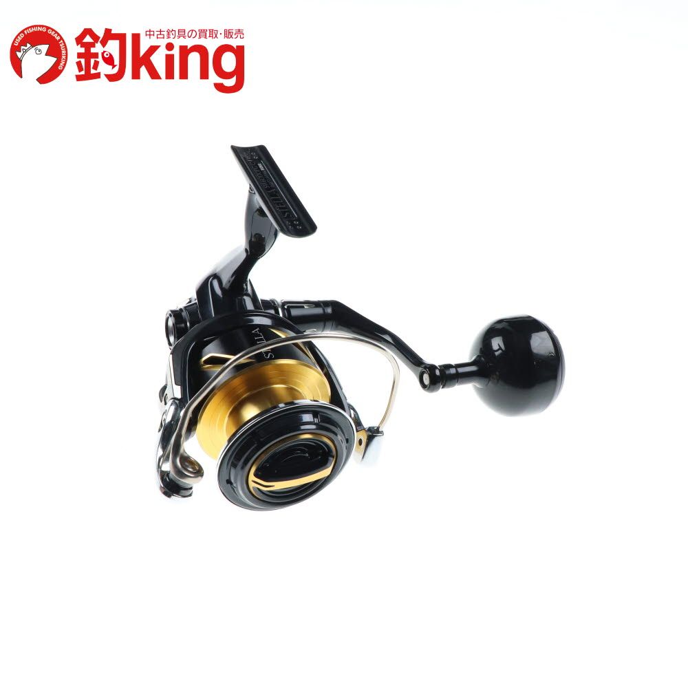 ステラ シマノ 20 ステラSW 6000PG /P364M