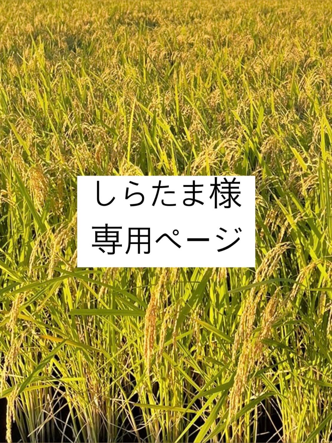 白玉様専用ページ 華々しく