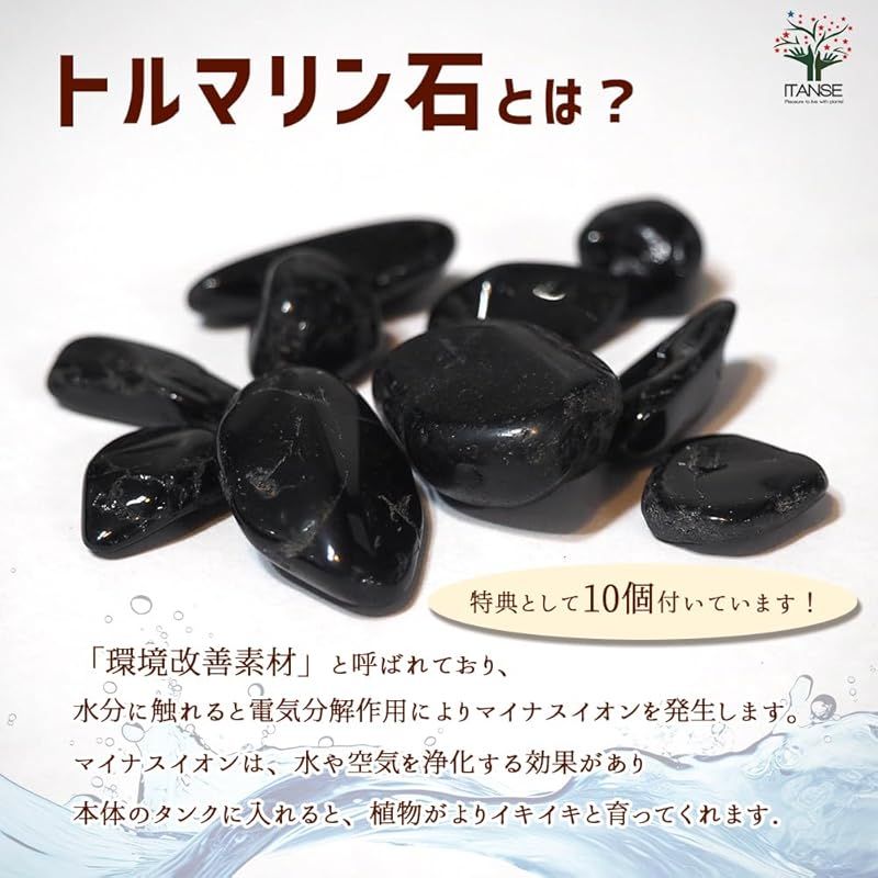 肥料|種子付き