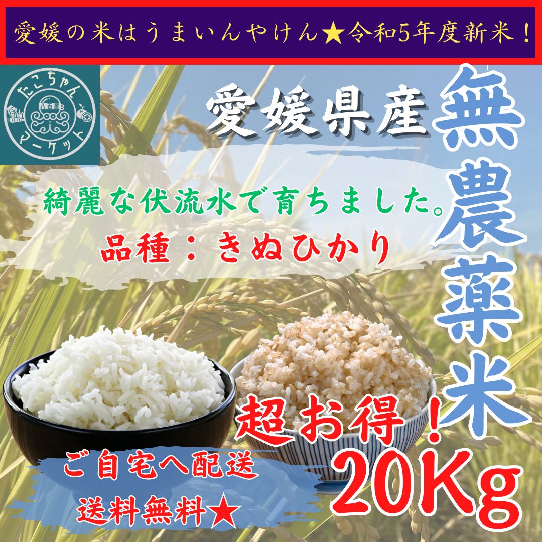 令和5年度　愛媛県産コシヒカリ玄米　精米30kg 久万高原清流米」令和5年コシヒカリ玄米30kg | 愛媛県久万高原町