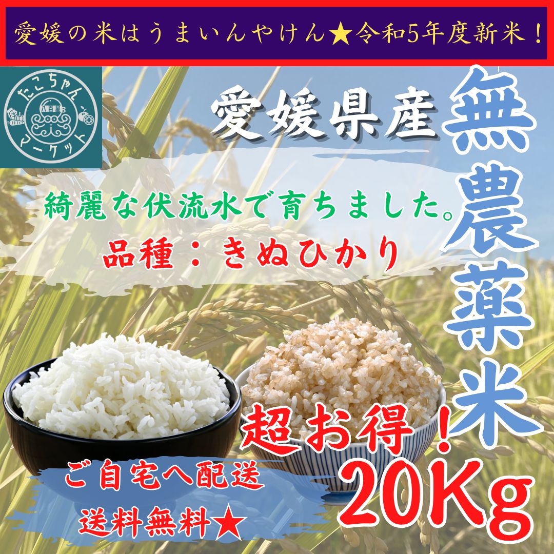 農薬未使用玄米20kg　新米コシヒカリ　令和5年度産　米
