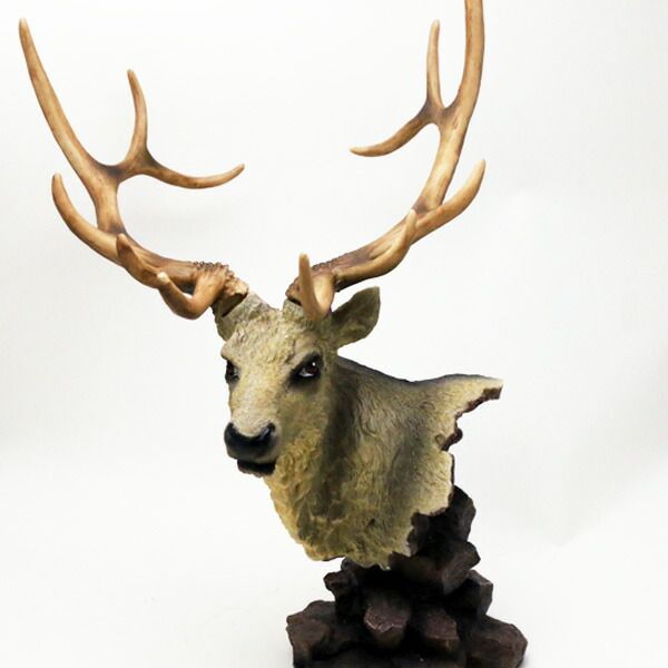 フ*ン様 鹿角 希少！白角!!ハンティングトロフィー スカルヘッド 種名