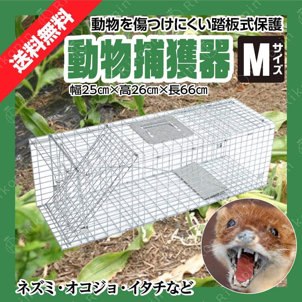 動物捕獲器 動物捕獲檻 猫 アニマルトラップ Mサイズ 66cm×26cm×23cmトラップ 箱罠 イタチ 駆除 捕獲 踏板式 捕獲機 動物 小動物  子猫 罠 鼠 保護 庭 畑 餌 アニマルキャッチャー - メルカリ