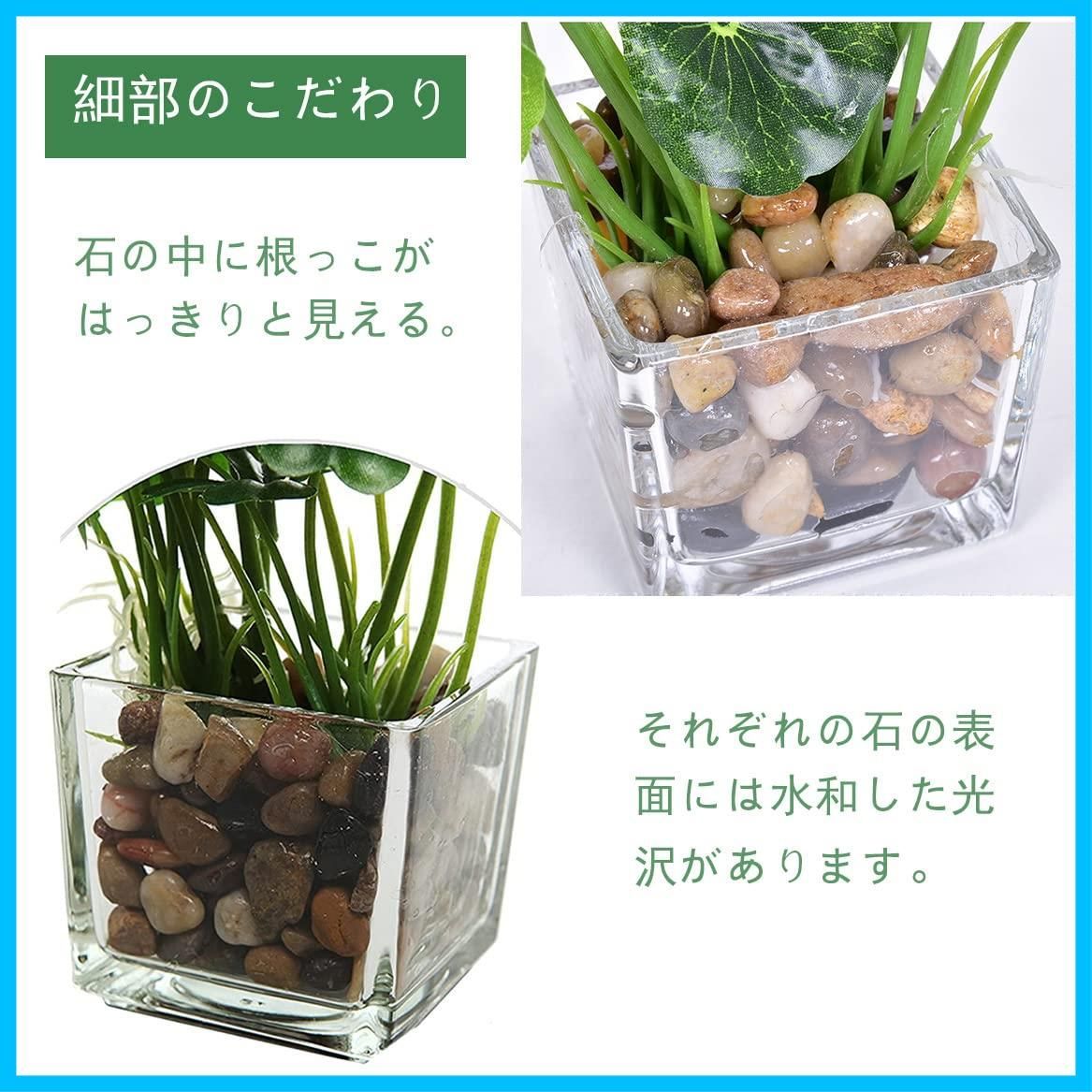 在庫 インテリア 飾り 人工観葉植物 造花 鉢植え 世話いらず 卓上 観葉植物 水やり不要 フェイク スイカの葉 オフィス クローバー モンステラ ホーム 3点セット フェイクグリーン デコレーション 光触媒 Lilizero USTAUSTRALIA_COM_AU