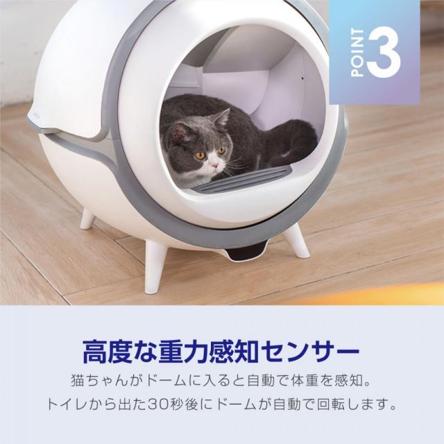 キャット 鉱物系