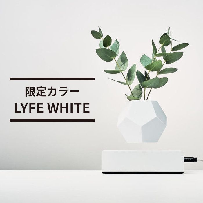 椿山水墨画 掛軸 梅 椿椿山 墨牡丹図｜古美術・掛け軸の販売・買取