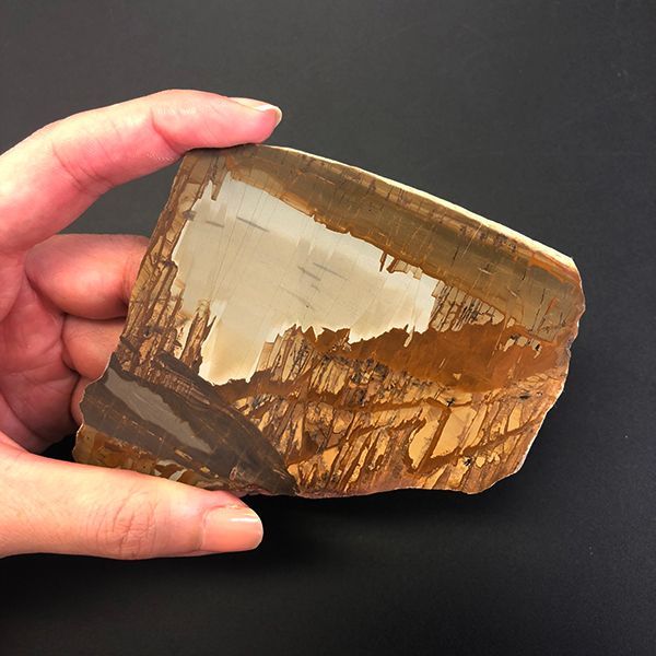 パエジナストーン 風景石 イタリア パエジナストーン Paesina Stone