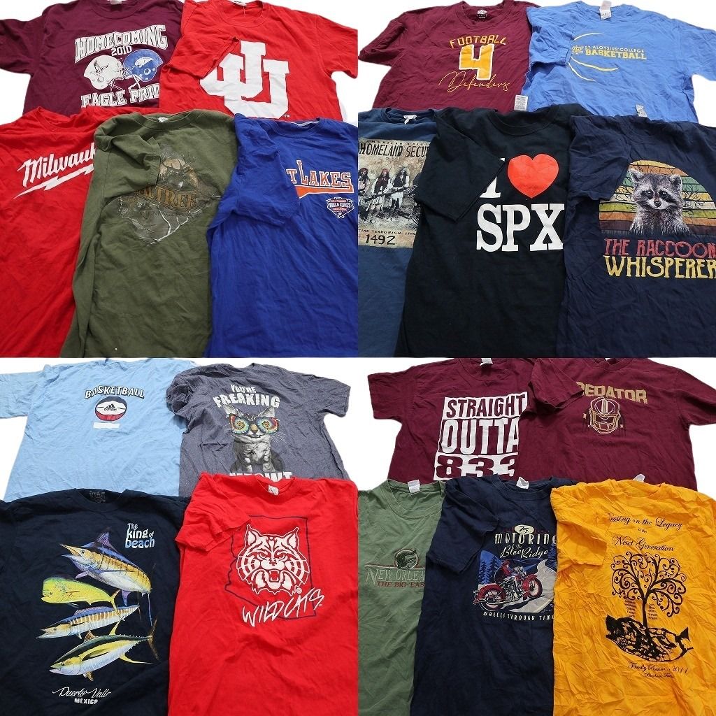 古着卸 mix プリント 半袖Tシャツ 19枚セット メンズ L アニマル 動物 ネコ アディダス 英文字 古着 NA1763