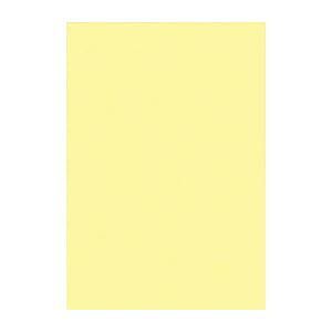 リンテック ニューカラーＲ 8 NCR-134 ライトイエロー