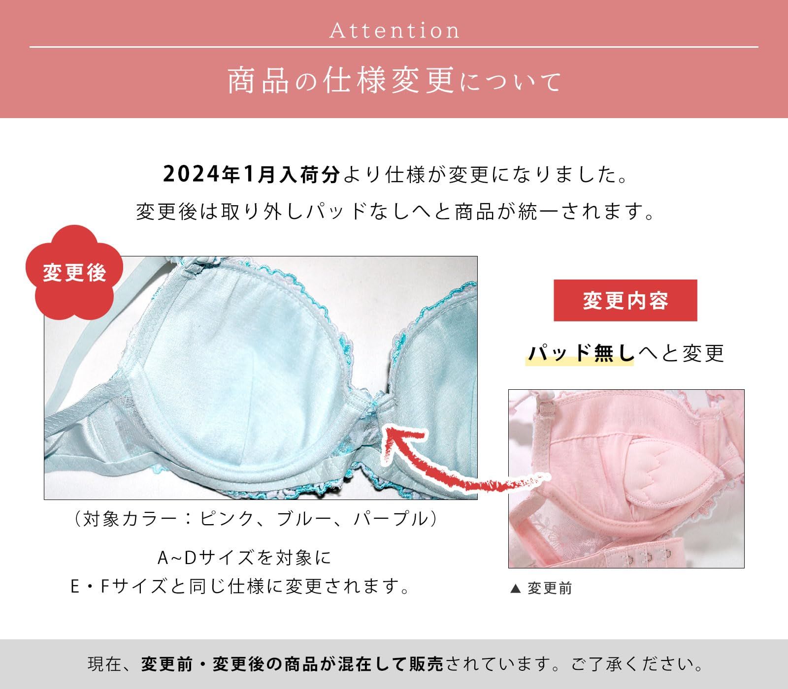 CHARLE FA226 C85 ブラジャー、ショーツM Chica Hurra ブルー C85 レディース ブラジャー ブラ ショーツ