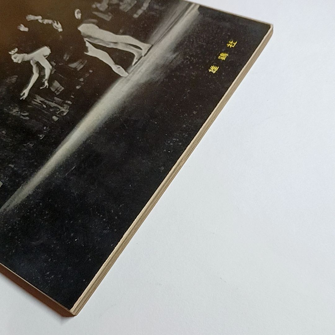 バレエ 古書 バレエ　名作の鑑賞　附バレエ入門　1954年改訂増補版　古本・古書