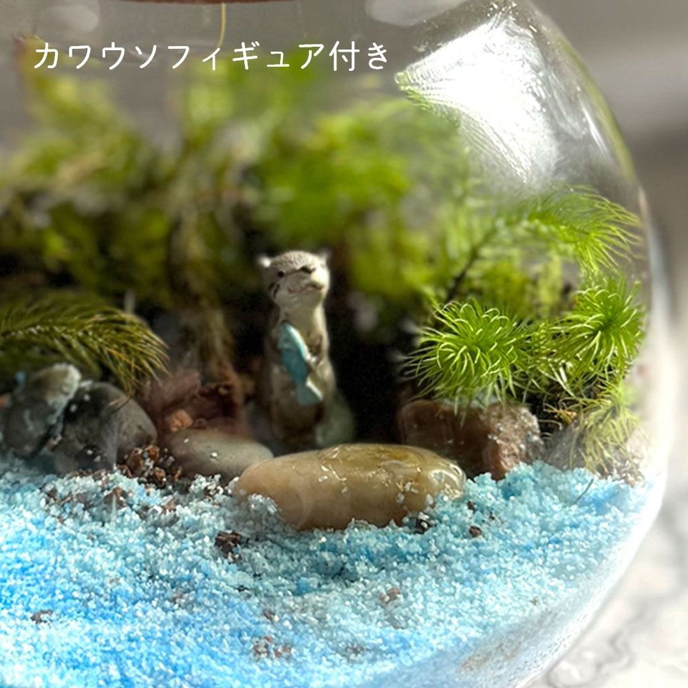 可愛すぎる❤️カワウソ4匹セット❤️苔リウムなどに 可愛すぎる