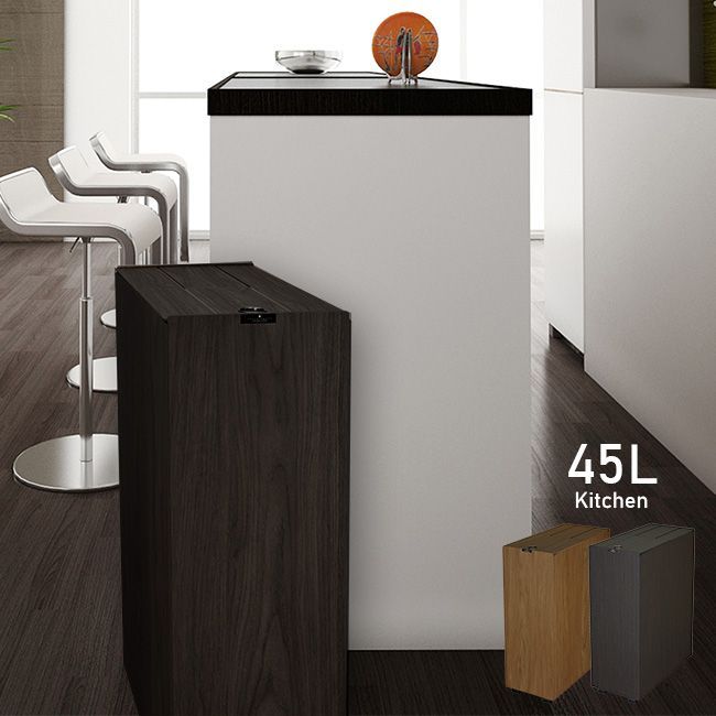 Amazon | ソロウ SOLOW ゴミ箱 2個セット ごみ箱 ダストボックス 45L