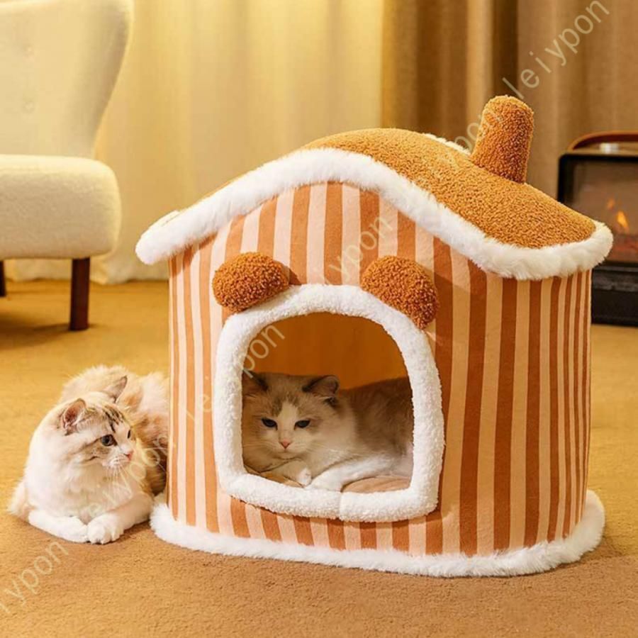 小型犬
