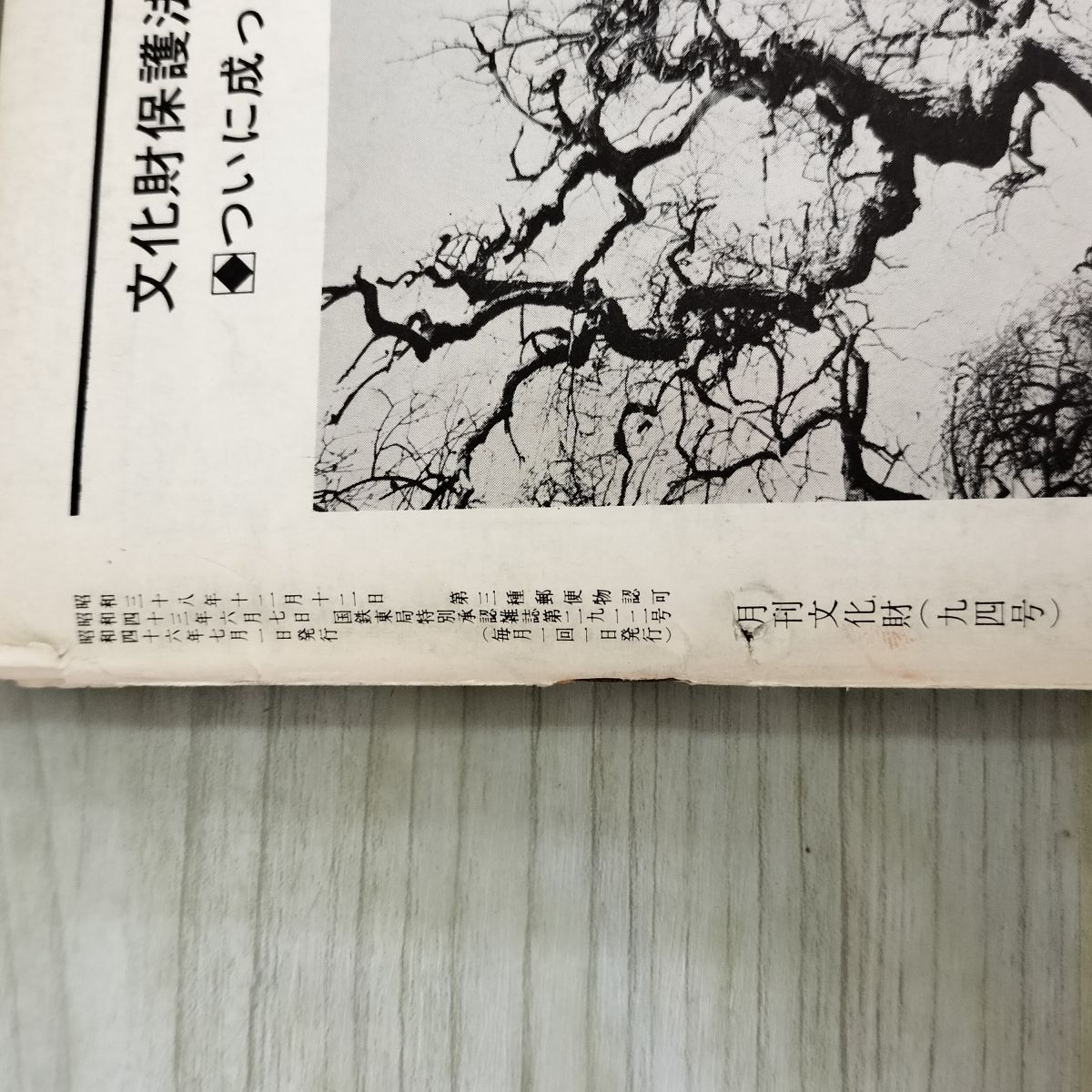 月刊文化財 1971年7月号 昭和46年 国立歴史民俗博物館の基本構想