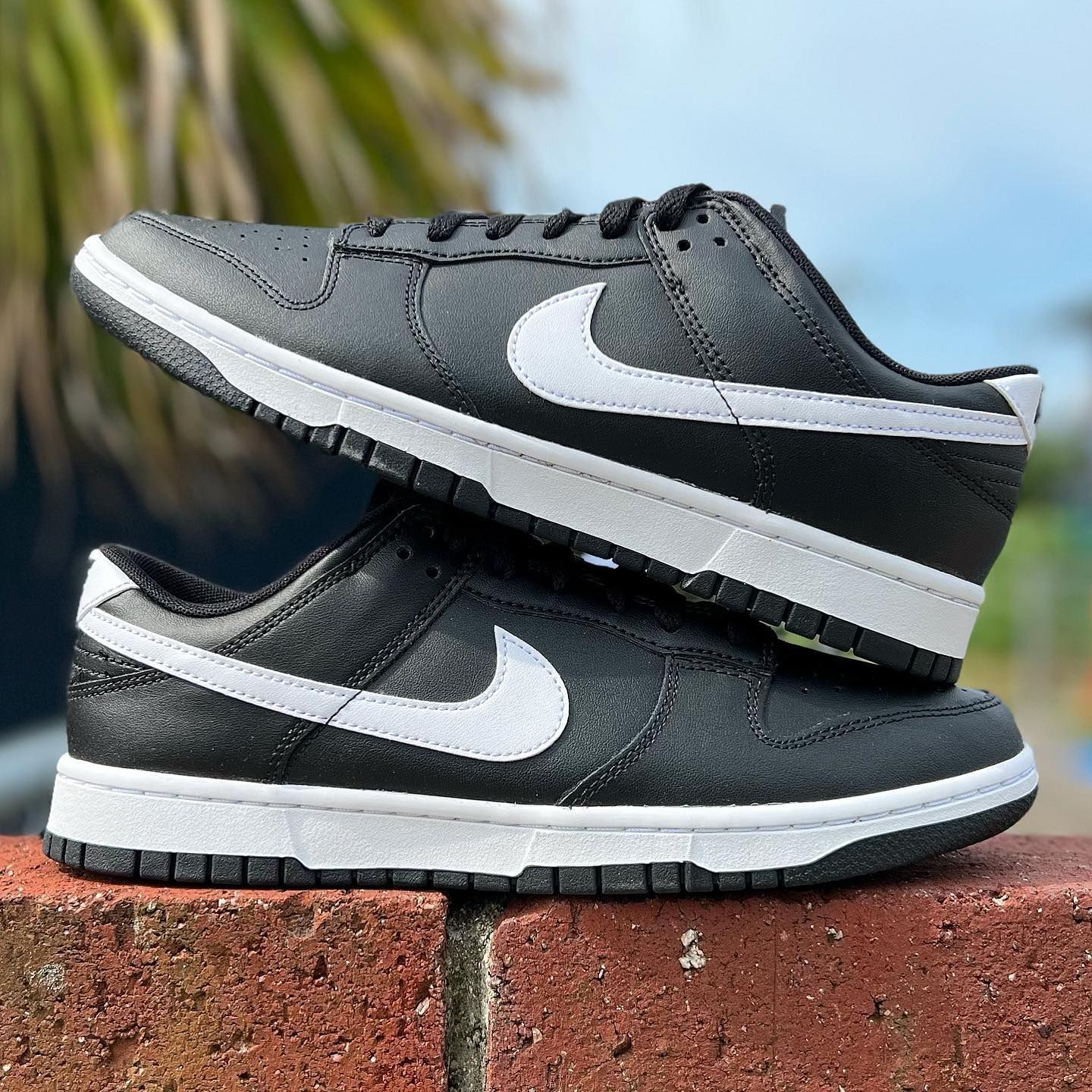 Nike dunk low blac ナイキ ダンク ロー ブラック-silversky-lifesciences.com