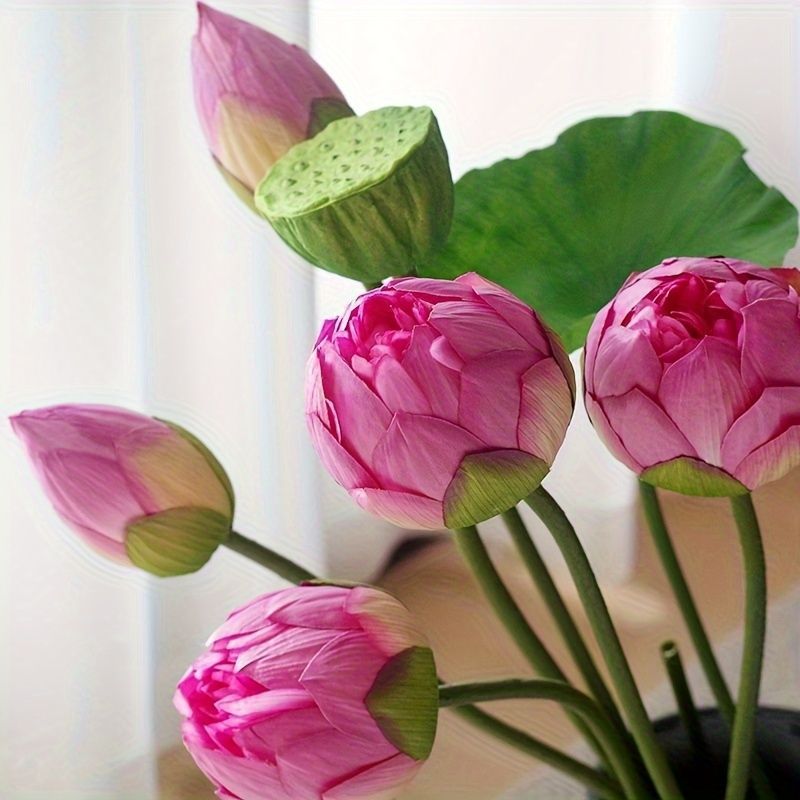 中庭デコレーション 写真撮影用