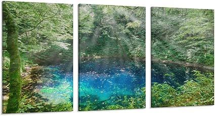 【在庫処分】3枚 青森県 光降る青池 絵画 インテリア ポスター 美しい自然の風景 日本の風景写真 アートパネル 風景画 自然風景 絵 アートポスター 装飾画 キャンバス 飾り絵 壁飾り 壁の絵 