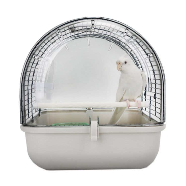 小型 インコ