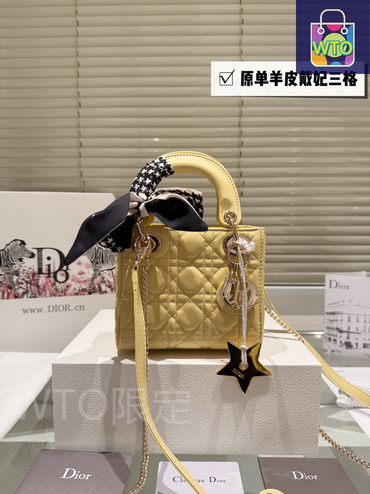 今日特価】Dior Lady Dior 羊皮ミニバッグ 17cm 高品質版 - メルカリ