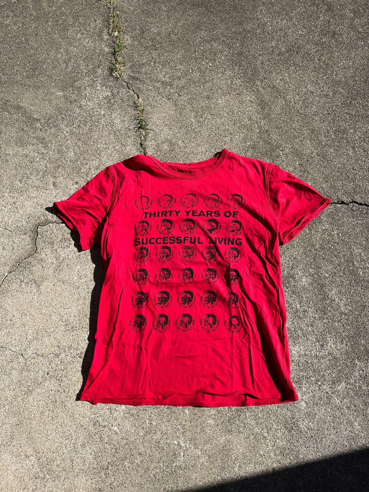 00's~10's  Diesel Thirty Years Of Successful Living T-shirt  ディーゼル 30周年Tシャツ