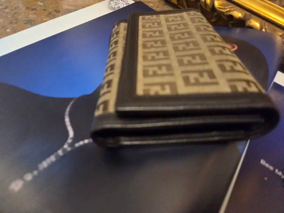 正規品 FENDI フェンディ クロスおよびウォレット WWW_MORNINGWALKER_COM