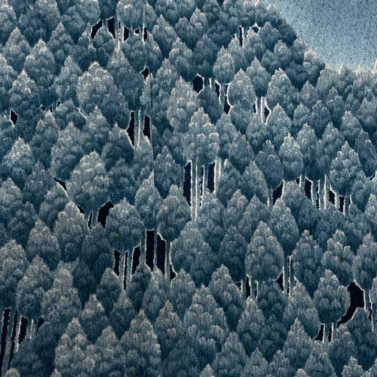 身丈154cm