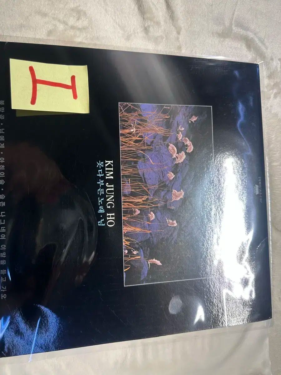 キム ジョンホ ー 未遂 歌われた 曲 ニーム ALS 1391 86 年 記憶 lp