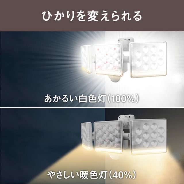 庭 倉庫